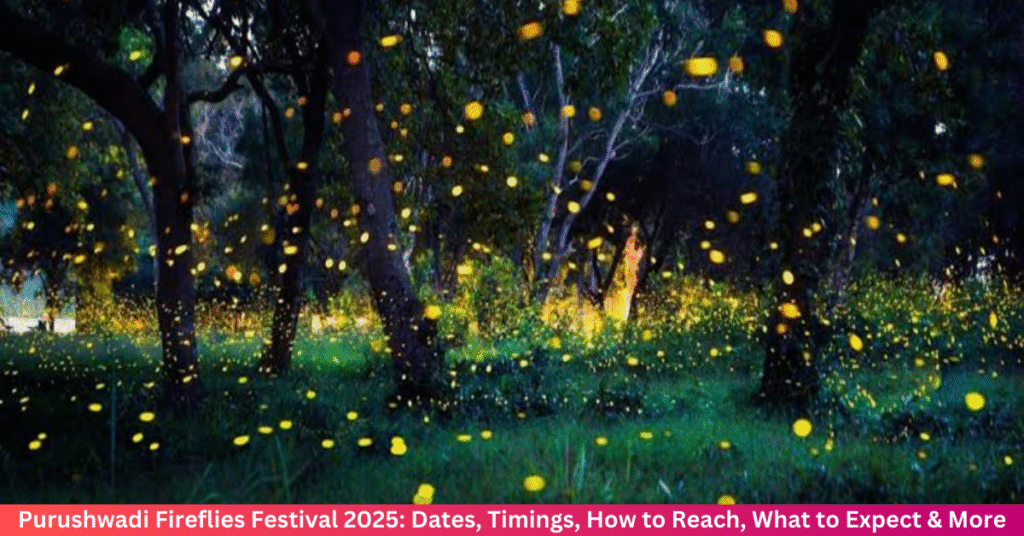 Purushwadi Fireflies Festival 2025